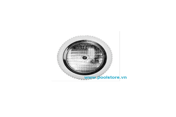 VianPool den-halogen-mk-4-12v-100w