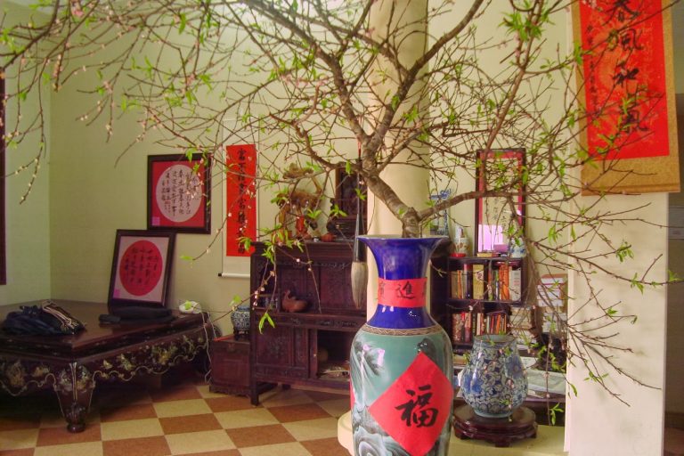 VianPool meo-bay-tri-phong-khach-ngay-tet-hop-phong-thuy-thu-hut-vuong-khi-3-4