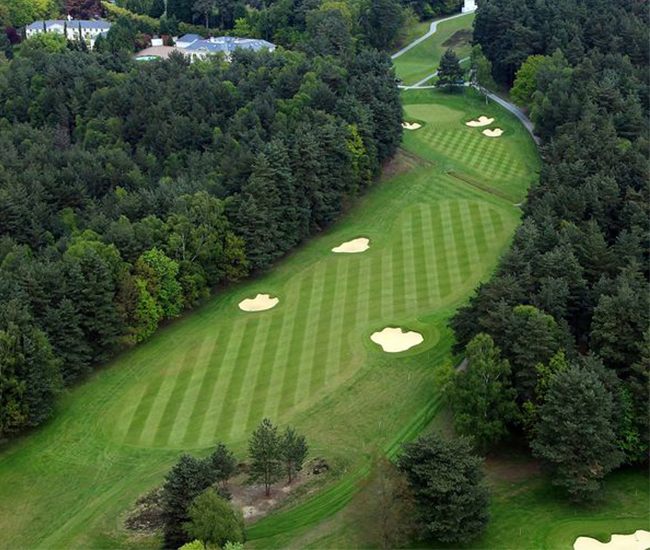 Thuat-ngu-danh-cho-nguoi-moi-bat-dau-cac-thanh-phan-co-ban-cua-san-gon-2