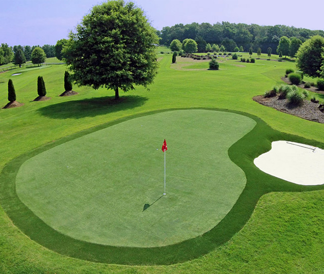 Thuat-ngu-danh-cho-nguoi-moi-bat-dau-cac-thanh-phan-co-ban-cua-san-gon-3