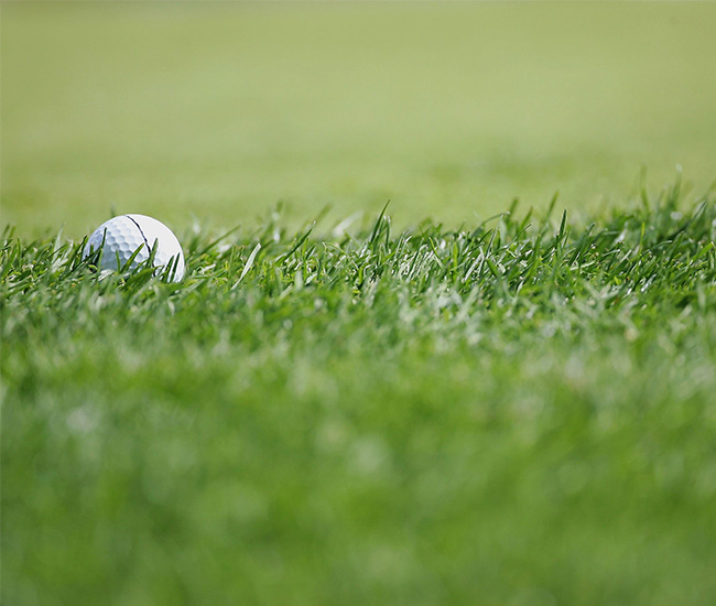 Thuat-ngu-danh-cho-nguoi-moi-bat-dau-cac-thanh-phan-co-ban-cua-san-gon-5