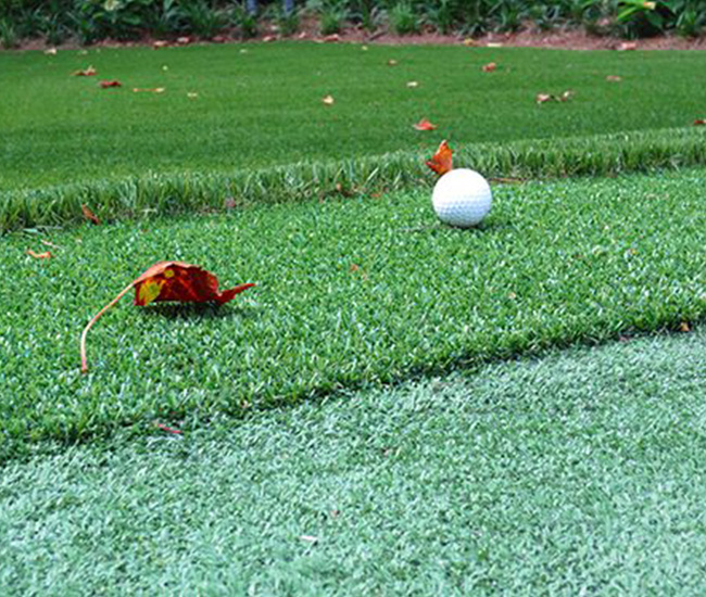 Thuat-ngu-danh-cho-nguoi-moi-bat-dau-cac-thanh-phan-co-ban-cua-san-gon-7