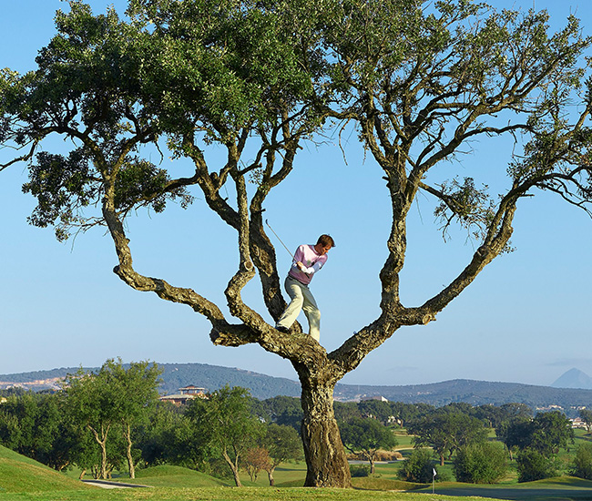 Thuat-ngu-danh-cho-nguoi-moi-bat-dau-cac-thanh-phan-co-ban-cua-san-gon-8