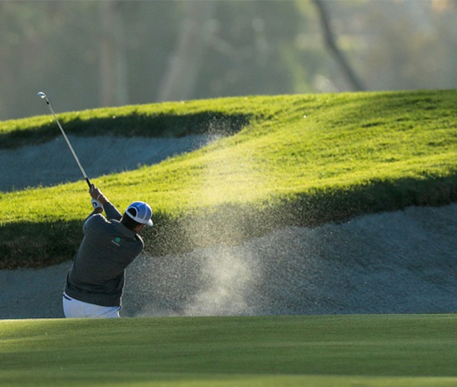 Thuat-ngu-danh-cho-nguoi-moi-bat-dau-cac-thanh-phan-co-ban-cua-san-gon-9